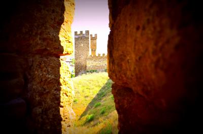 Прикрепленное изображение: _DSC1915-001 (Копировать).JPG